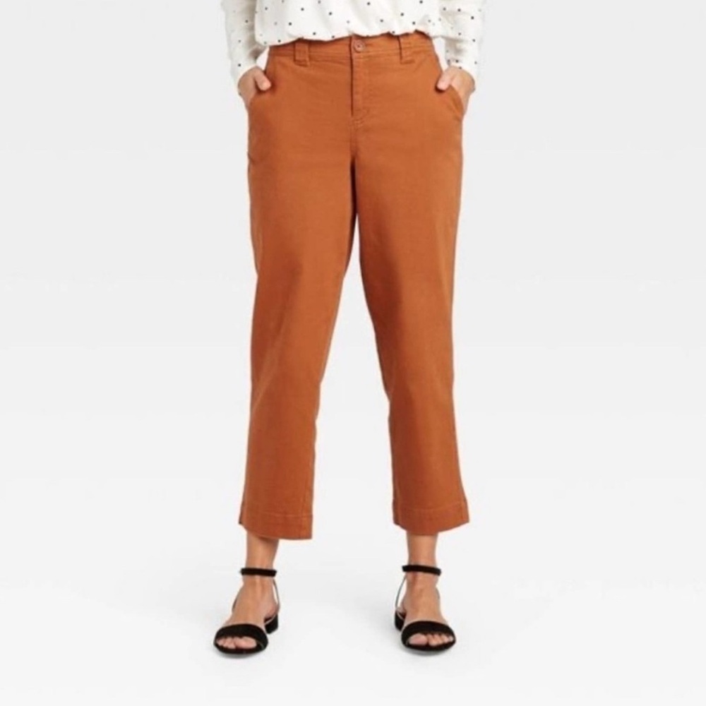 Straight Ankle Pants in Rust